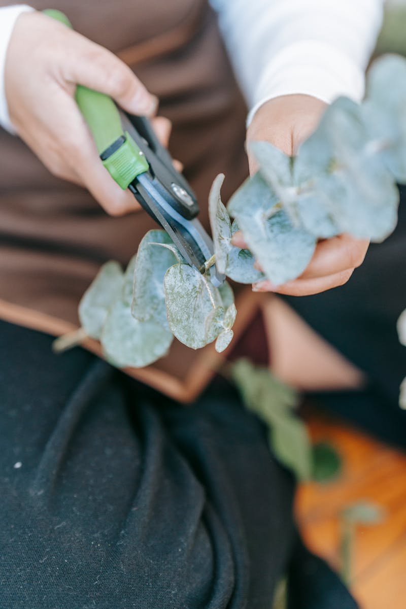 Selecting Garden Tools